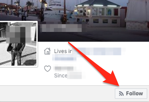 Facebook Follow Button